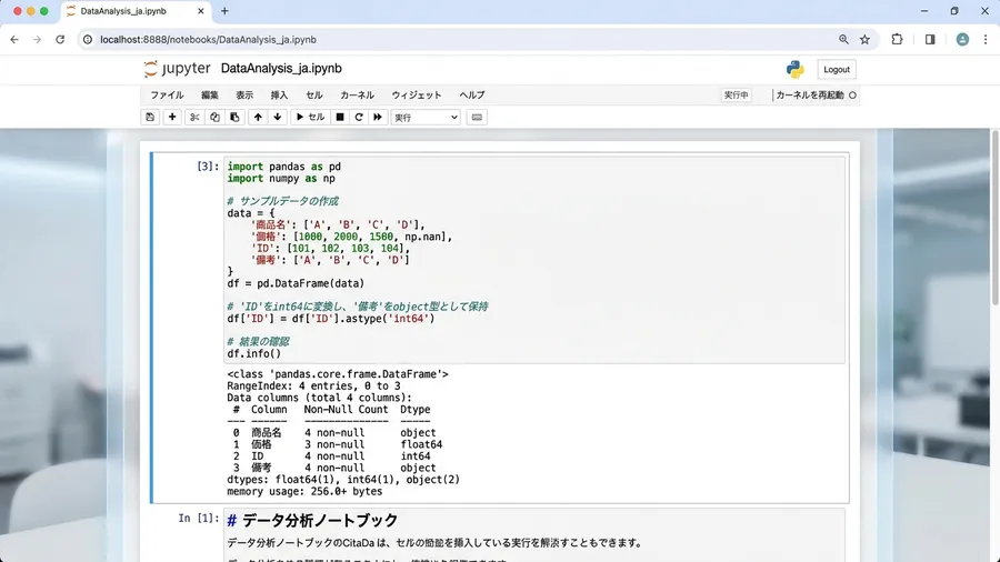 日本語のJupyter Notebook画面。df.info()の実行結果が表示