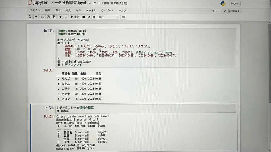 日本語インターフェースのJupyter Notebook画面です。df.info